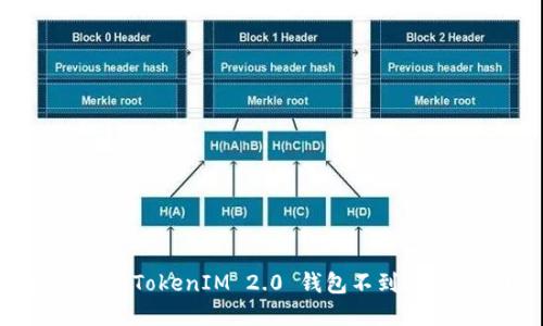 如何解决TokenIM 2.0 钱包不到账的问题？