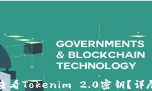 
如何查看Tokenim 2.0密钥？详尽指南