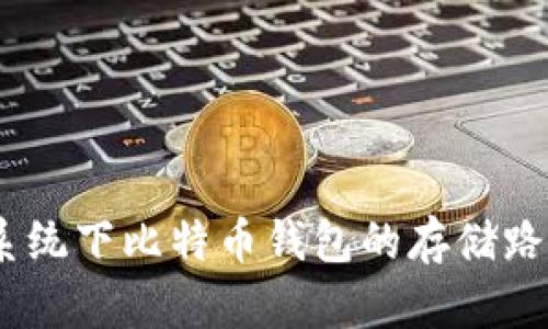 Win7系统下比特币钱包的存储路径详解