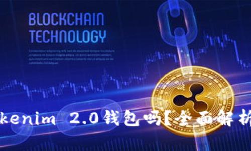 一定要有Tokenim 2.0钱包吗？全面解析及使用指南
