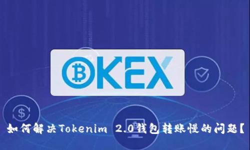 如何解决Tokenim 2.0钱包转账慢的问题？