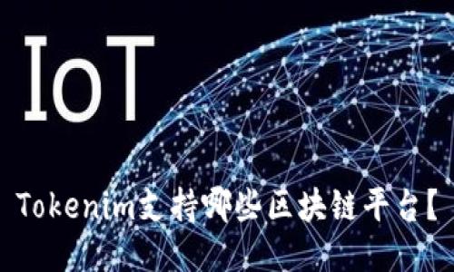 Tokenim支持哪些区块链平台？
