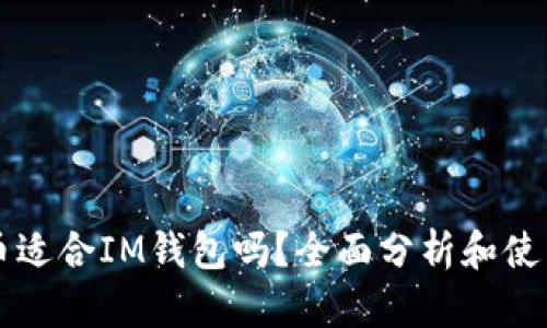 狗狗币适合IM钱包吗？全面分析和使用指南