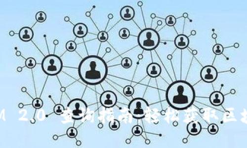 TokenIM 2.0 查询指南：轻松获取区块链信息