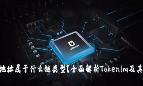 Tokenim地址属于什么链类型？全面解析Tokenim及其生态系统