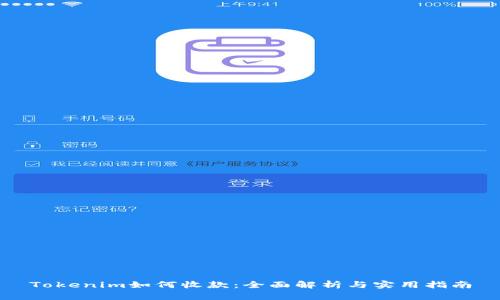 Tokenim如何收款：全面解析与实用指南