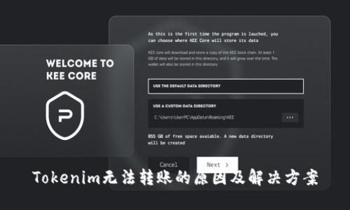 Tokenim无法转账的原因及解决方案