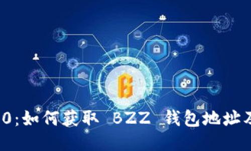 TokenIm 2.0：如何获取 BZZ 钱包地址及其使用方法