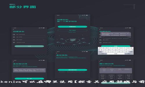 Tokenim可以在哪里使用？探索其应用领域与前景