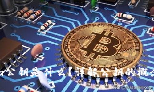 Tokenim公钥是什么？详解公钥的概念与应用