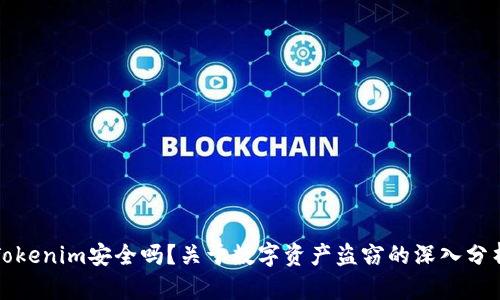 Tokenim安全吗？关于数字资产盗窃的深入分析