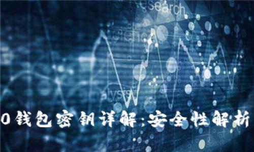Tokenim2.0钱包密钥详解：安全性解析与使用指南