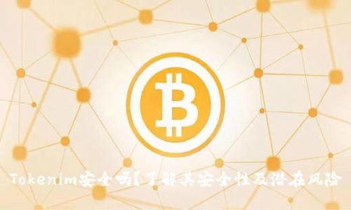 Tokenim安全吗？了解其安全性及潜在风险