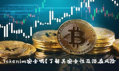 Tokenim安全吗？了解其安全性及潜在风险