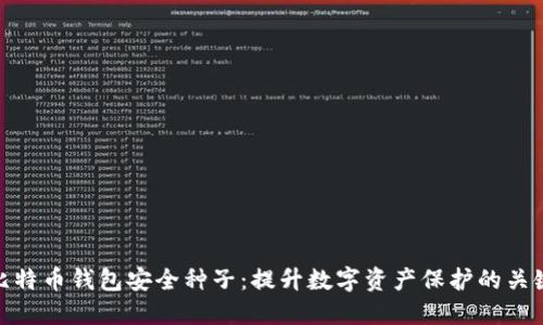 比特币钱包安全种子：提升数字资产保护的关键