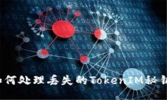 如何处理丢失的TokenIM秘钥