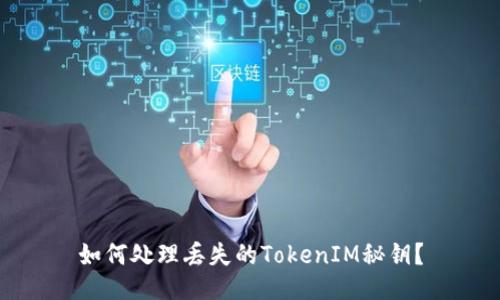 如何处理丢失的TokenIM秘钥？