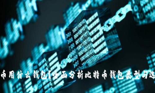 玩比特币用什么钱包？全面分析比特币钱包类型与选择指南