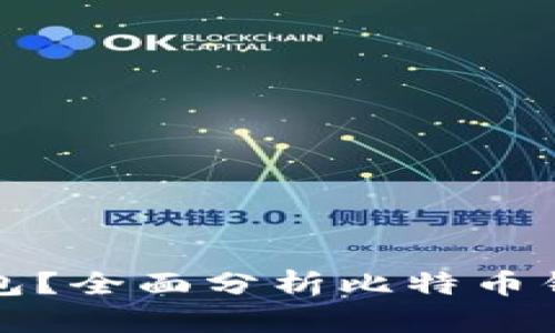 玩比特币用什么钱包？全面分析比特币钱包类型与选择指南