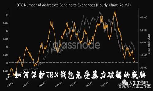 : 如何保护TRX钱包免受暴力破解的威胁
