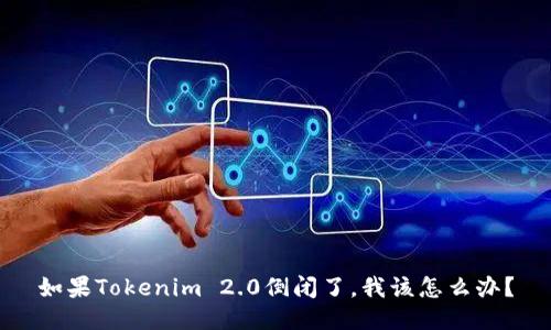 如果Tokenim 2.0倒闭了，我该怎么办？