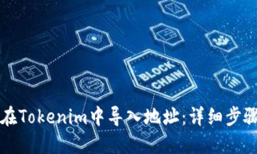 如何在Tokenim中导入地址：详细步骤指南