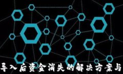 Tokenim导入后资金消失的解