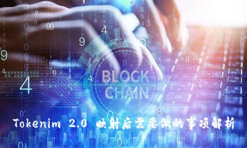 Tokenim 2.0 映射后需要做的事项解析