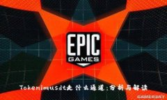 Tokenimusdt走什么通道：分析