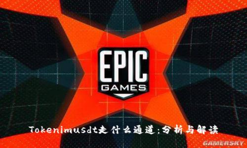 Tokenimusdt走什么通道：分析与解读