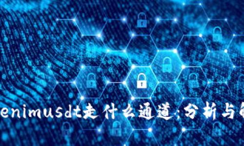 Tokenimusdt走什么通道：分析与解读