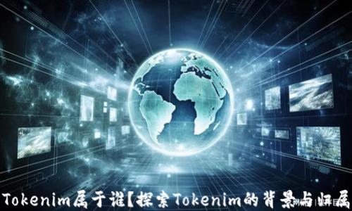 
Tokenim属于谁？探索Tokenim的背景与归属