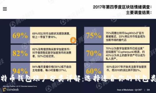 比特币钱包账户分类详解：选择适合你的钱包类型