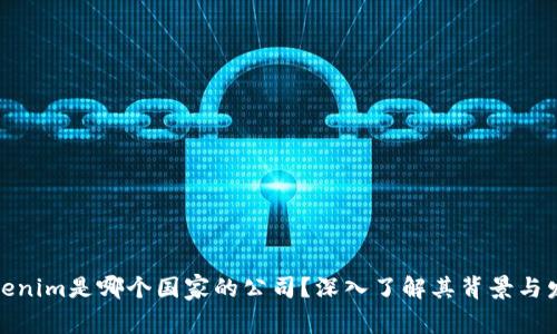 Tokenim是哪个国家的公司？深入了解其背景与发展