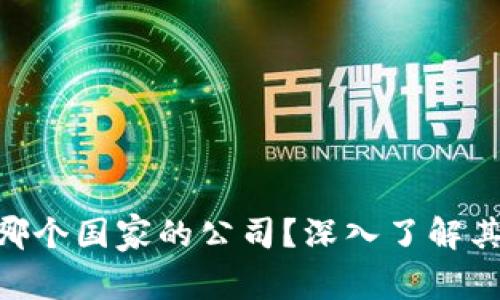 Tokenim是哪个国家的公司？深入了解其背景与发展
