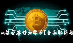 : TokenIm能否存储大零币？