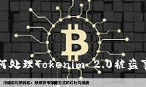 如何处理Tokenim 2.0被盗事件