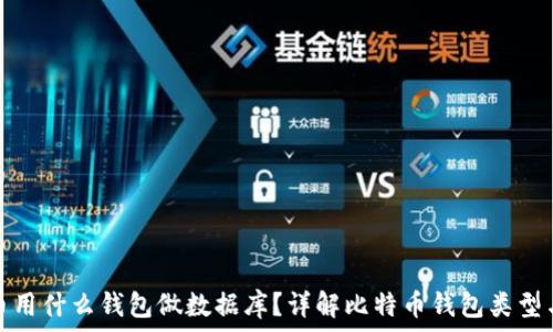   
比特币用什么钱包做数据库？详解比特币钱包类型与选择