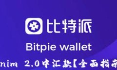 怎么往Tokenim 2.0中汇款？全