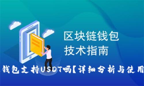 比太钱包支持USDT吗？详细分析与使用指南