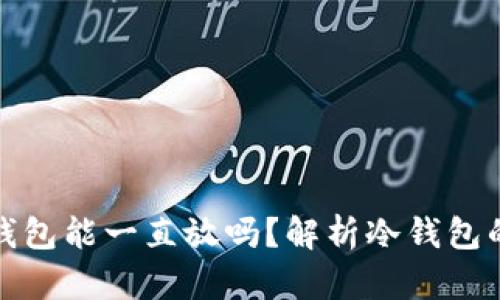 比特币放冷钱包能一直放吗？解析冷钱包的存储安全性