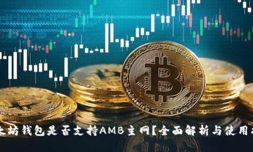 以太坊钱包是否支持AMB主网？全面解析与使用指南