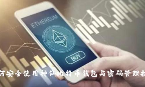 如何安全使用神仙比特币钱包与密码管理技巧