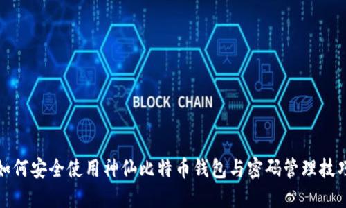 如何安全使用神仙比特币钱包与密码管理技巧