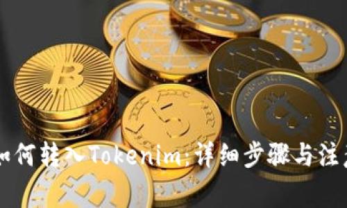 币安如何转入Tokenim：详细步骤与注意事项