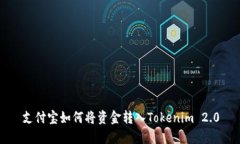 支付宝如何将资金转入T