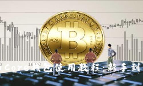 全面解析比特币Core钱包使用教程：新手到高手的必备指南