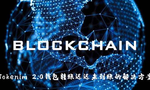 Tokenim 2.0钱包转账迟迟未到账的解决方案