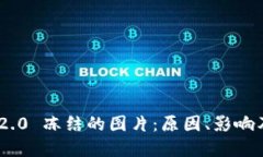 Tokenim 2.0 冻结的图片：原
