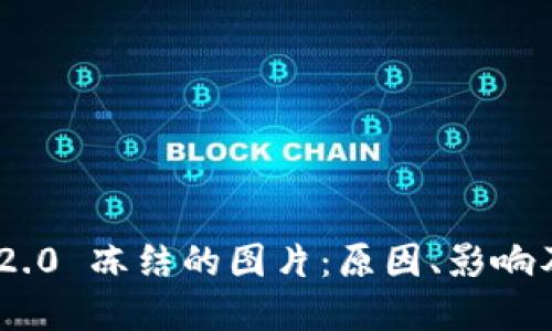 Tokenim 2.0 冻结的图片：原因、影响及解决方案